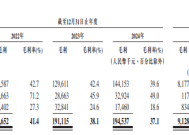 胜软科技港股IPO遇阻：净利润率暴跌至-66.8% 账期飙至1662天 财务内控与市值门槛双重承压