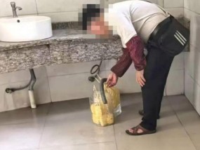 广西河池一商贩用公厕洗手池脏水浸泡菠萝销售，泡了33块卖掉6块，已被截获