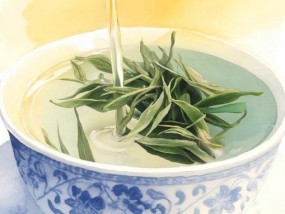 【文化和自然遗产日】漫动时节丨茶：人在草木间