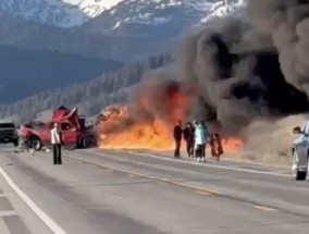 美国黄石国家公园附近发生撞车事故7人死亡