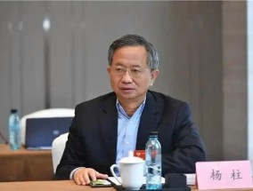 履新仅两个月，贵州省政协常委杨柱被查