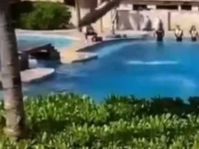 可怕的时刻，海豚跳出泳池，在喘气的游客面前死亡
